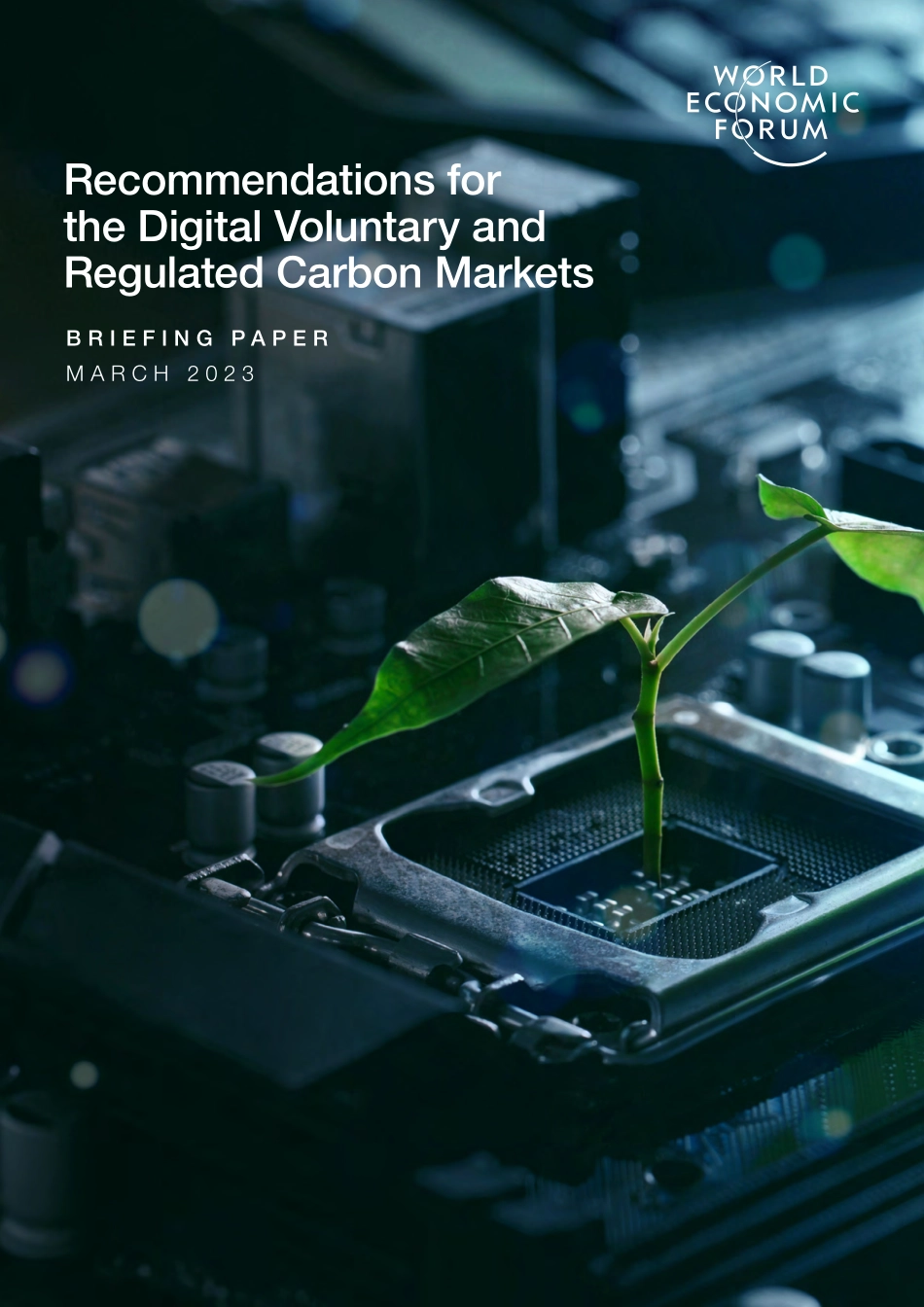 数字自愿和监管碳市场的建议-12页-WN5.pdf_第1页