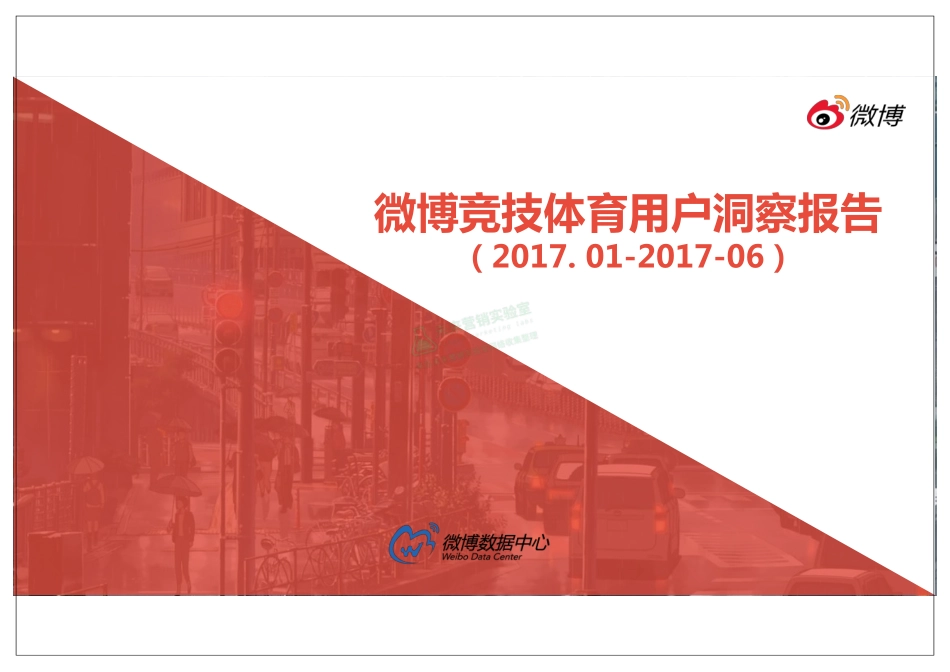 微博 竞技体育用户洞察报告.pdf_第1页