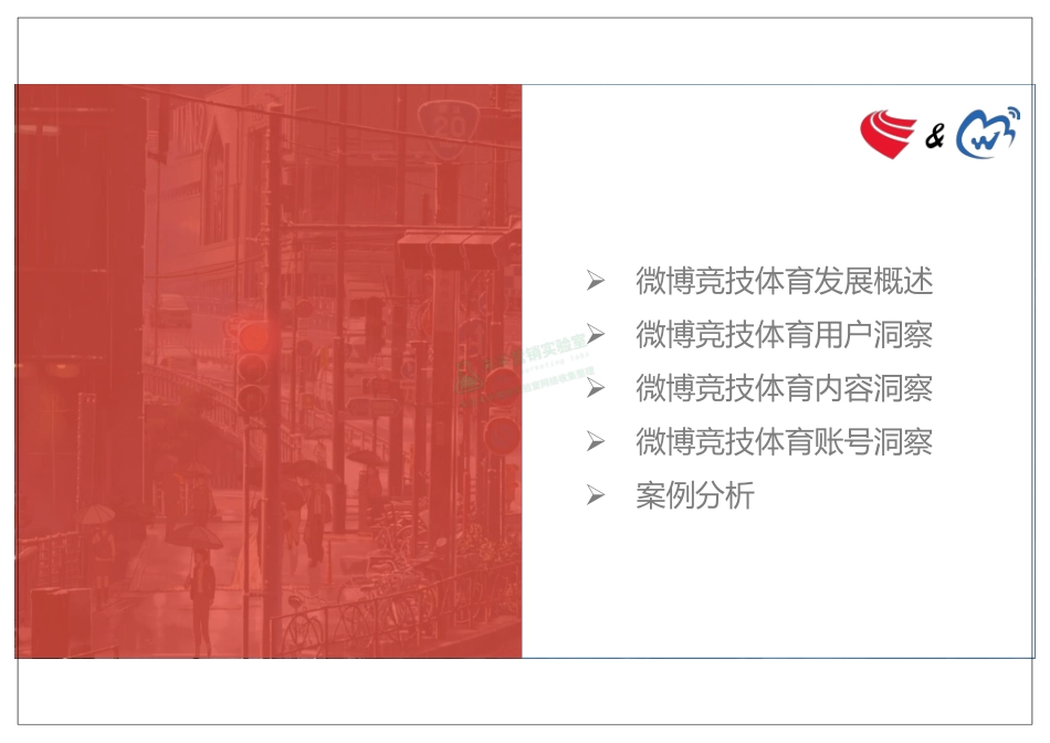 微博 竞技体育用户洞察报告.pdf_第2页