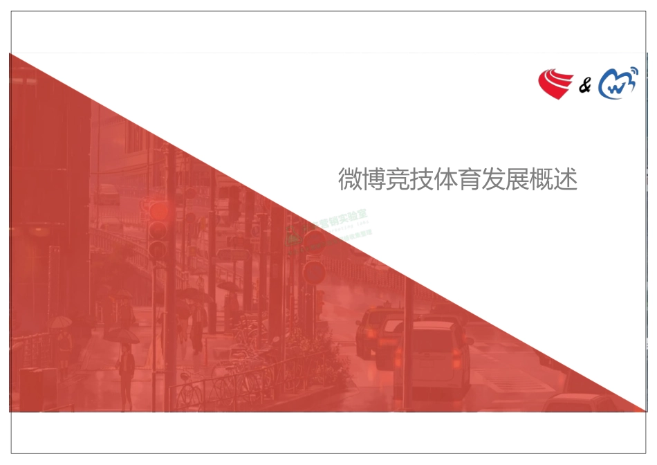 微博 竞技体育用户洞察报告.pdf_第3页