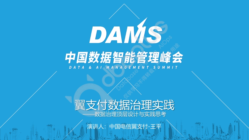 王平-翼支付数据治理实践-13页-WN5.pdf_第1页