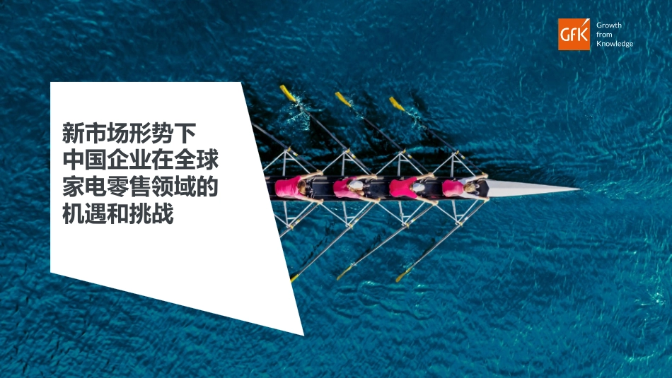 新市场形势下中国企业在全球家电零售领域的机遇和挑战 -2023.05-25页-WN6.pdf_第1页