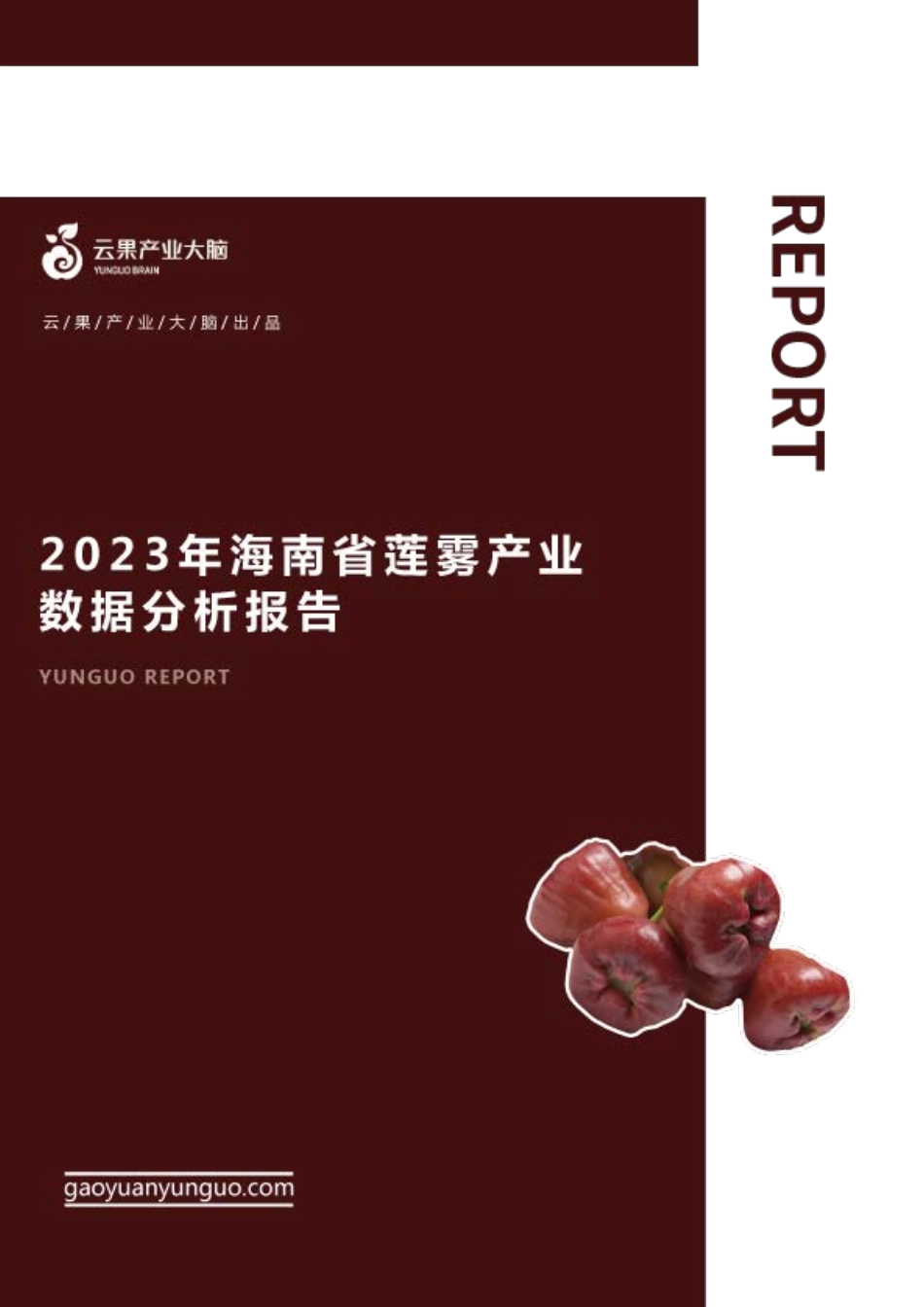 云果-2023年海南省莲雾产业数据分析报告-17页-WN6.pdf_第1页