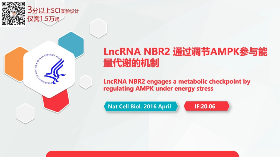 文献分享《LncRNA NBR2 通过调节AMPK参与能量代谢的机制.pdf_第1页