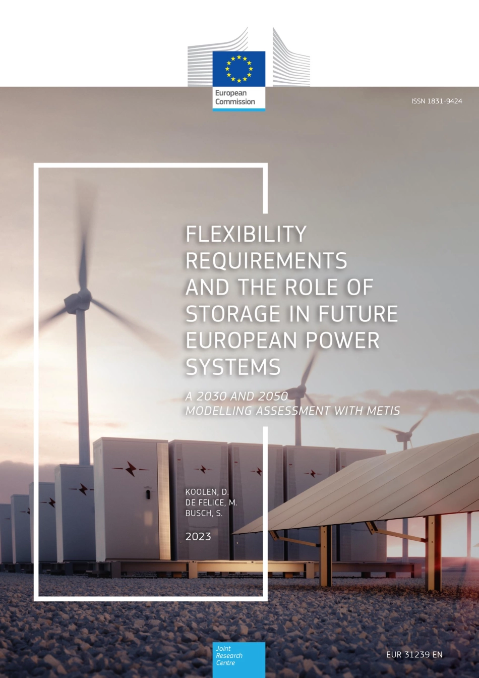 在未来欧洲电力系统中灵活性要求和储能的作用（英）-36页-WN5.pdf_第1页