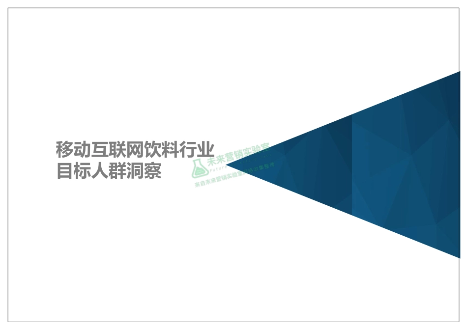 移动互联网饮料行业目标人群洞察.pdf_第1页