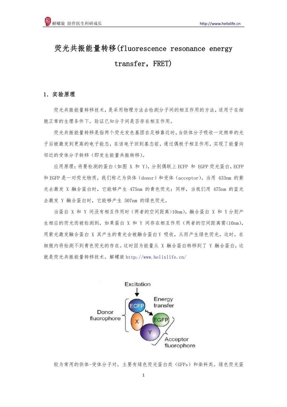 荧光共振能量转移（FRET）(1).pdf_第1页