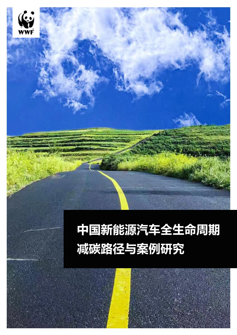 中国新能源汽车全生命周期减碳路径与案例研究-2023.09-29页-WN9.pdf_第1页