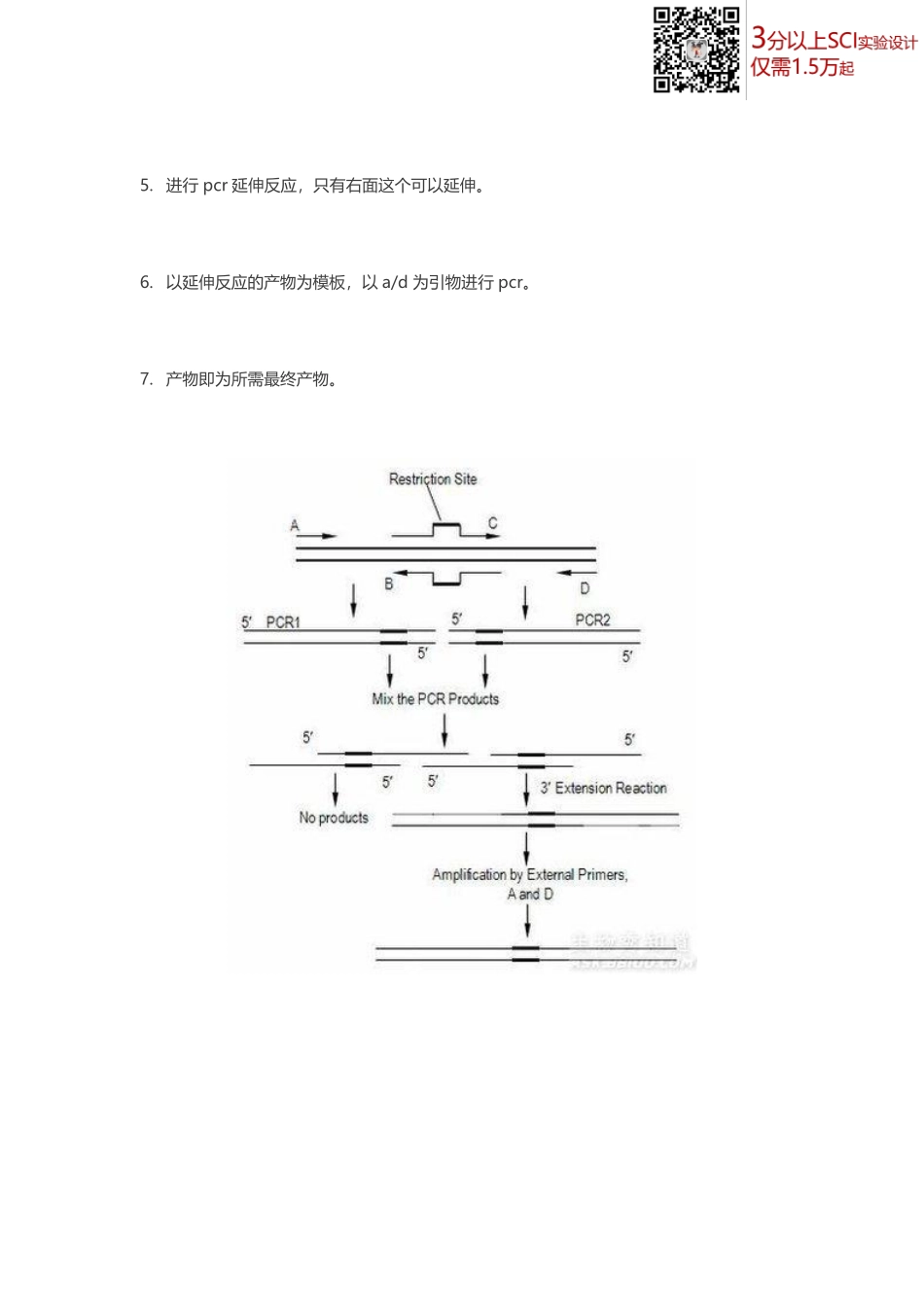 重叠延伸PCR实验(1).pdf_第2页