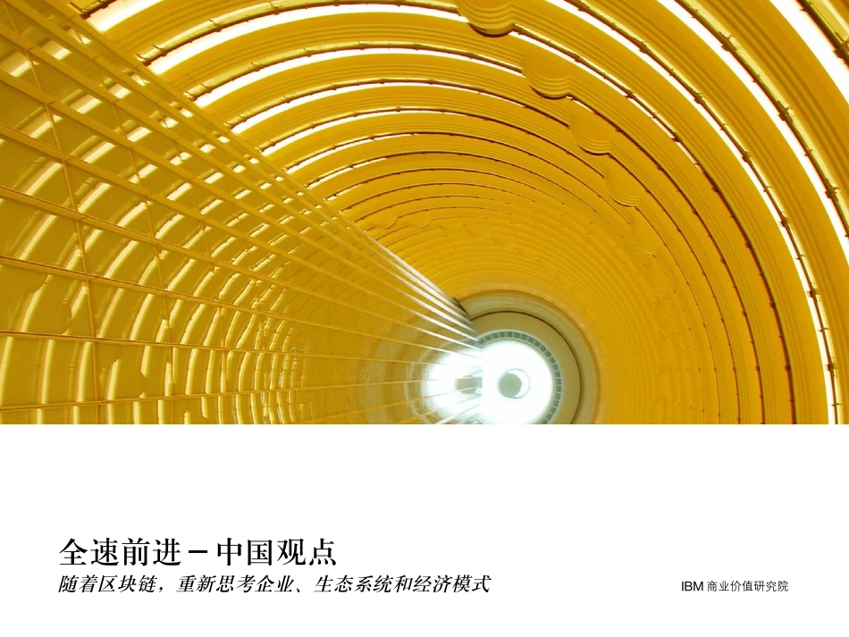 最新出版的IBM的区块链中文调研报告.pdf_第1页