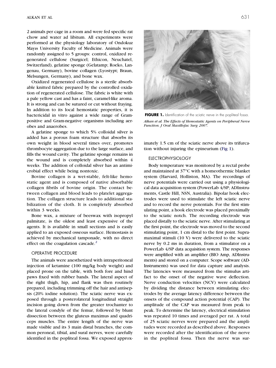 止血材料对周围神经功能影响的实验研究原文.pdf_第2页