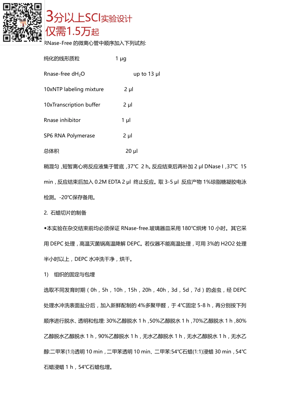 原位杂交实验(1).pdf_第3页