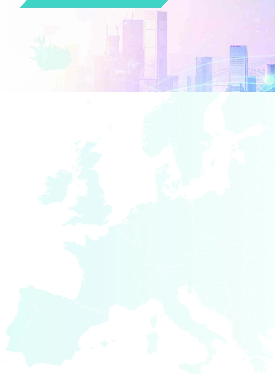 中国企业在欧发展报告（2019）_vf.pdf_第2页