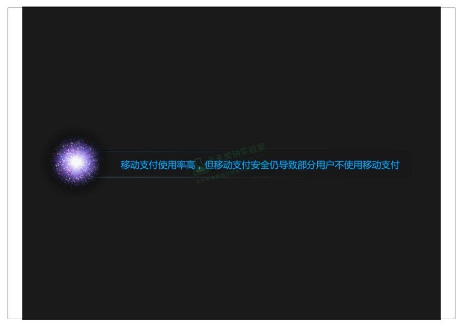 中国移动支付行业用户行为研究报告.pdf_第2页