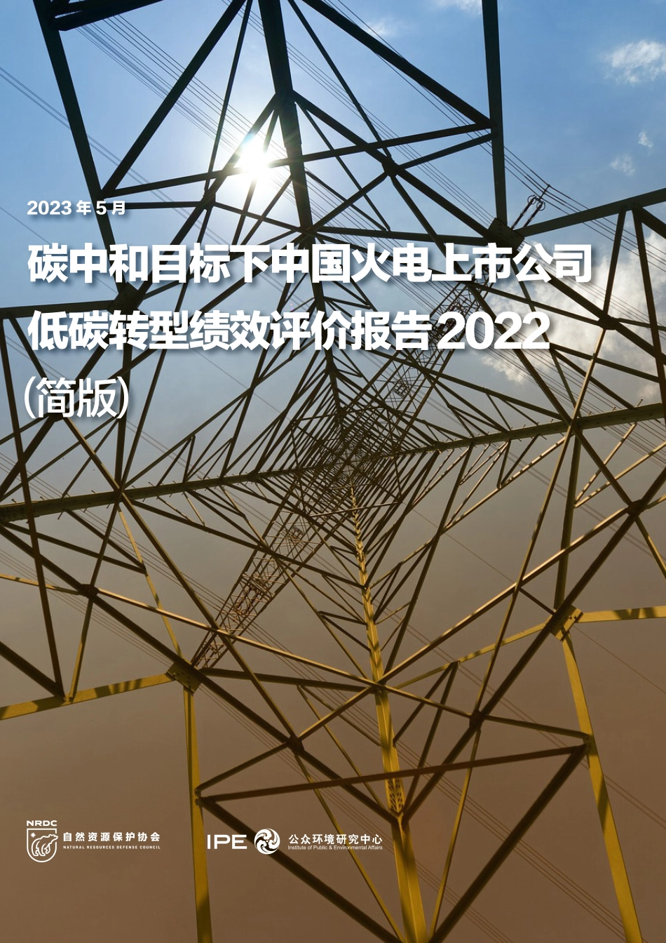 自然资源保护协会-碳中和目标下中国火电上市公司低碳转型绩效评价报告-50页-WN6.pdf_第1页