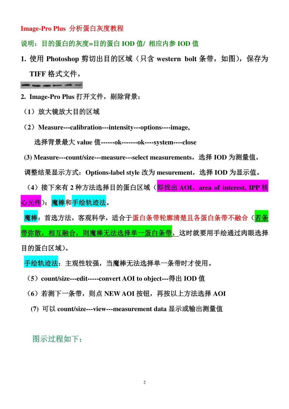 蛋白灰度分析总结-sssholy.pdf_第2页