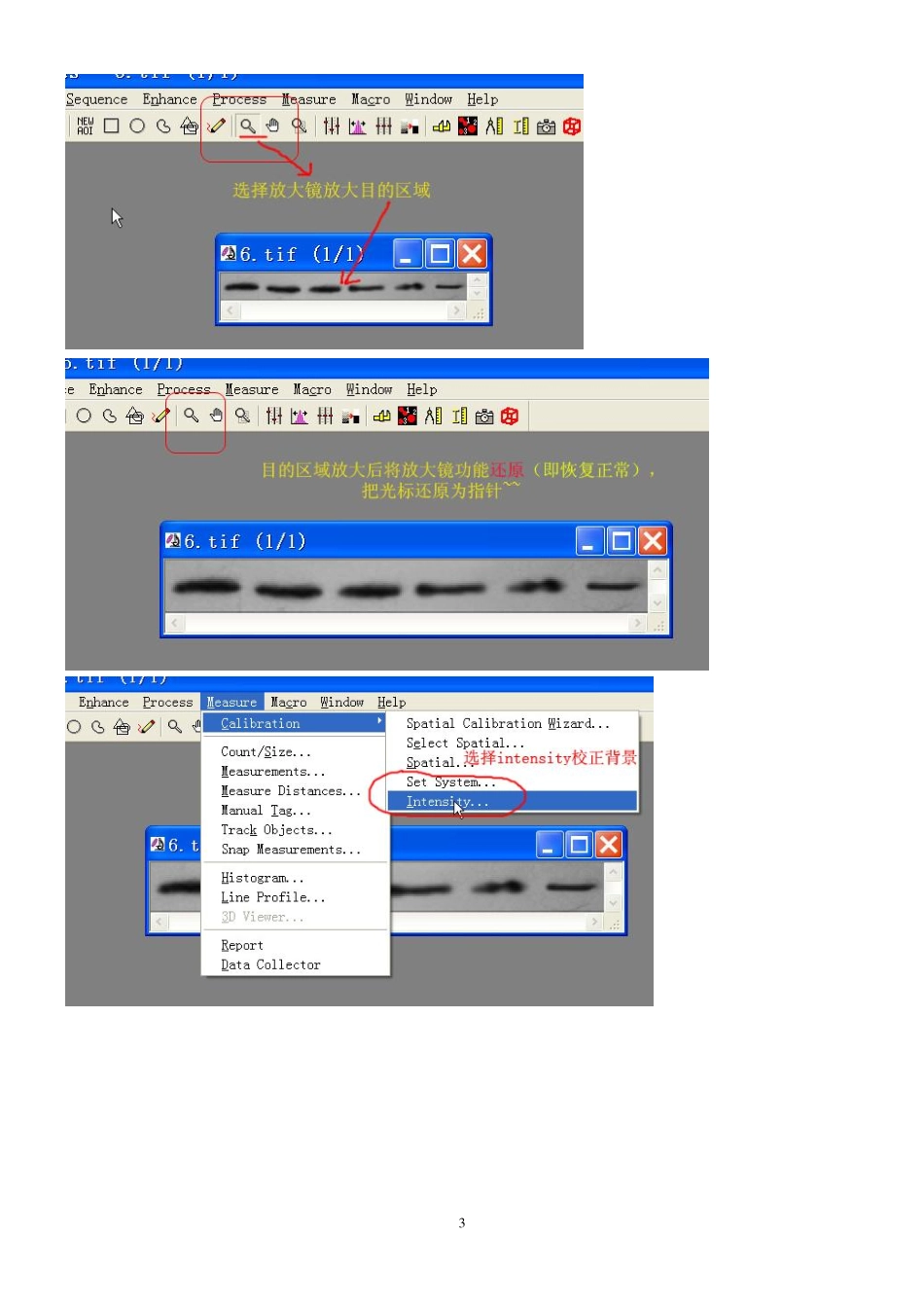 蛋白灰度分析总结-sssholy.pdf_第3页