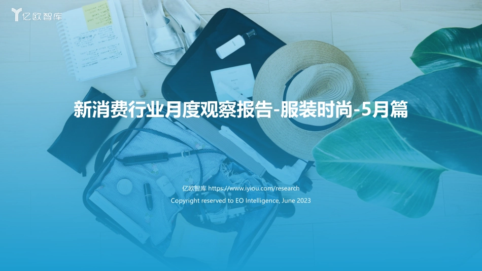 亿欧智库-新消费行业月度观察报告 服装时尚 5月篇-2023.06-36页-WN6.pdf_第1页