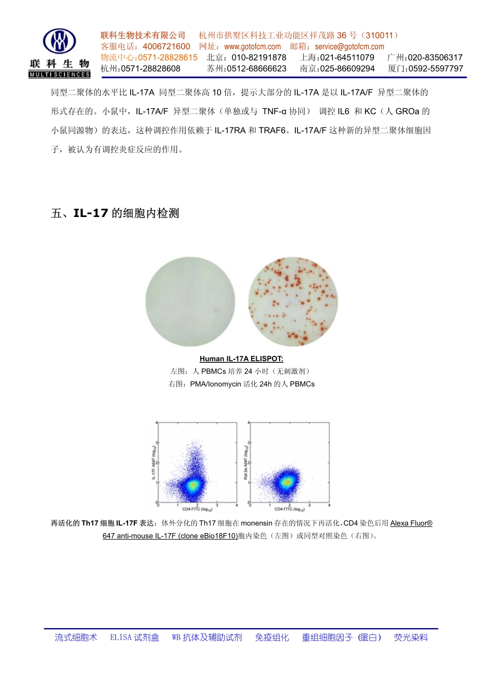 Th17细胞的性质和检测.pdf_第3页