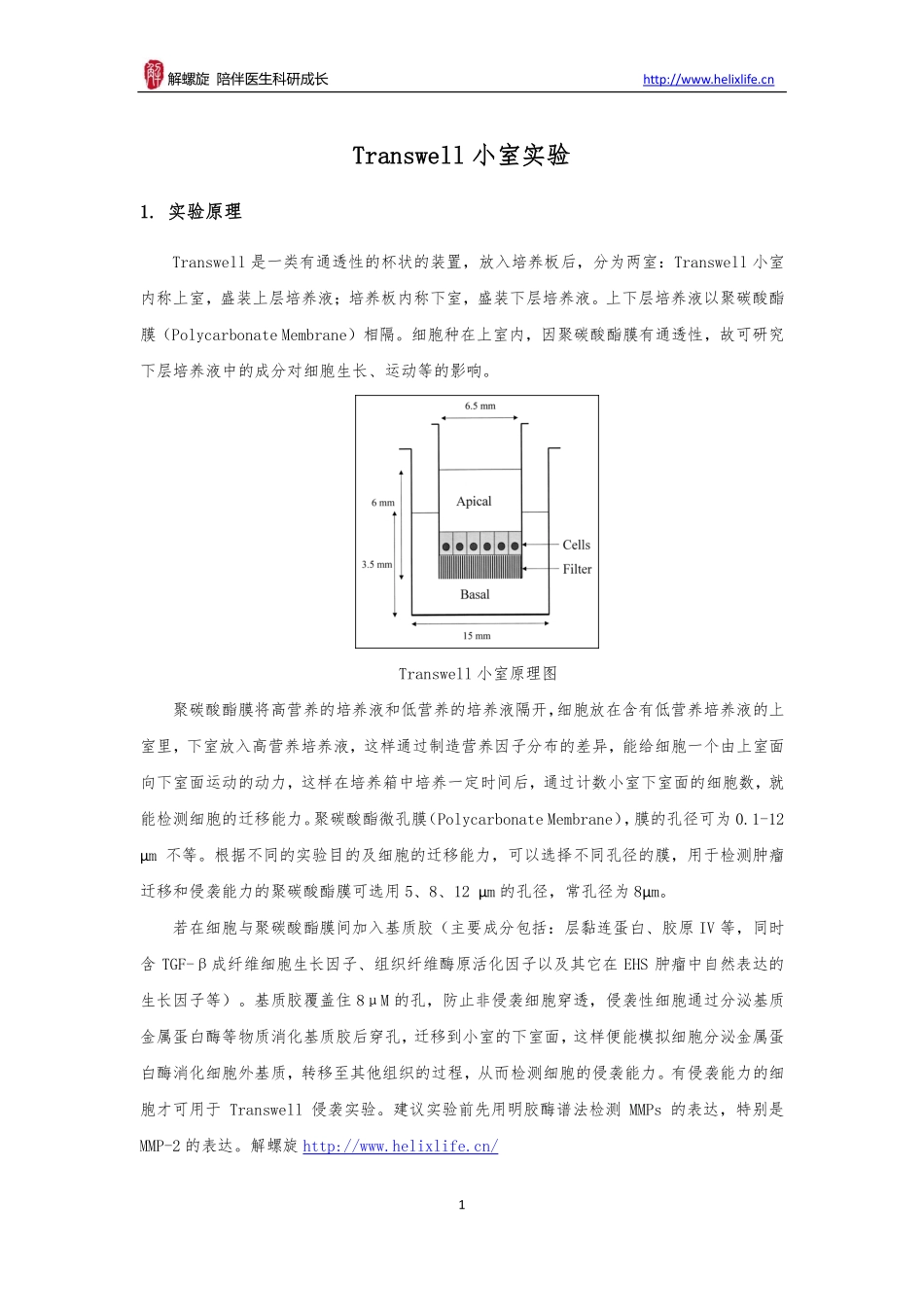 Transwell小室实验（细胞水平）(1).pdf_第1页