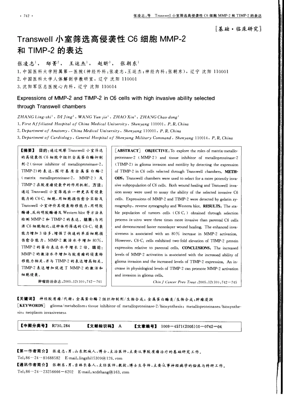Transwell小室筛选高侵袭性C6细胞MMP2和TIMP2的表达(1).pdf_第1页