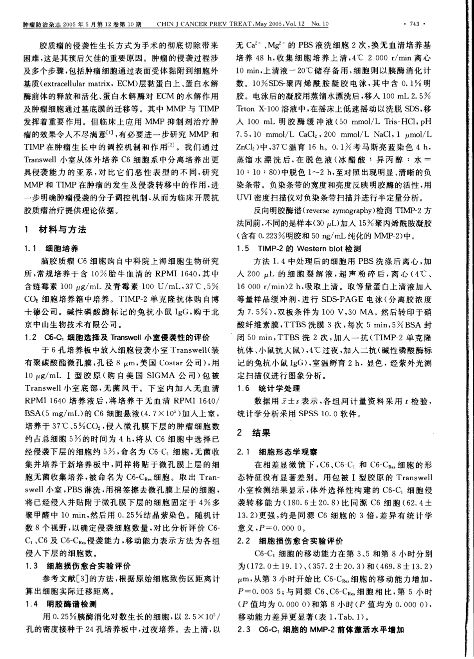 Transwell小室筛选高侵袭性C6细胞MMP2和TIMP2的表达(1).pdf_第2页
