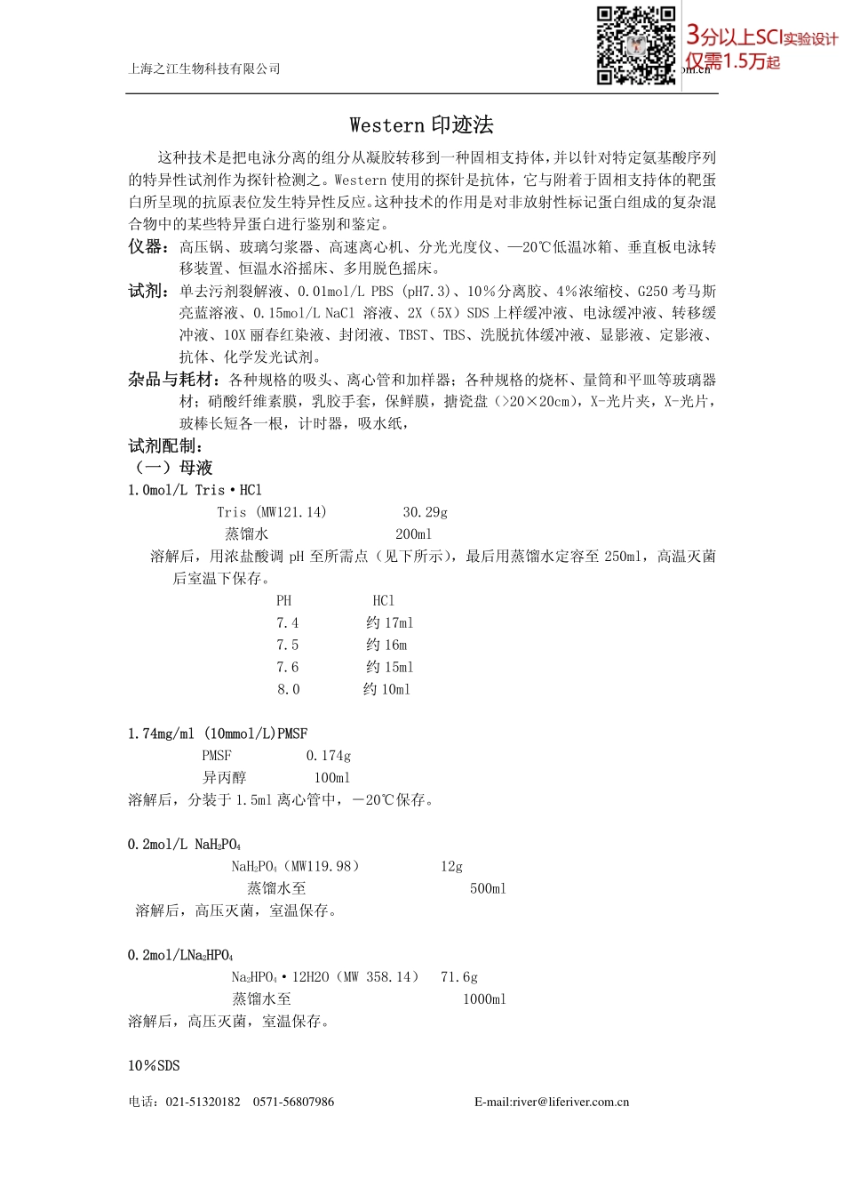 western blot 流程(1).pdf_第1页