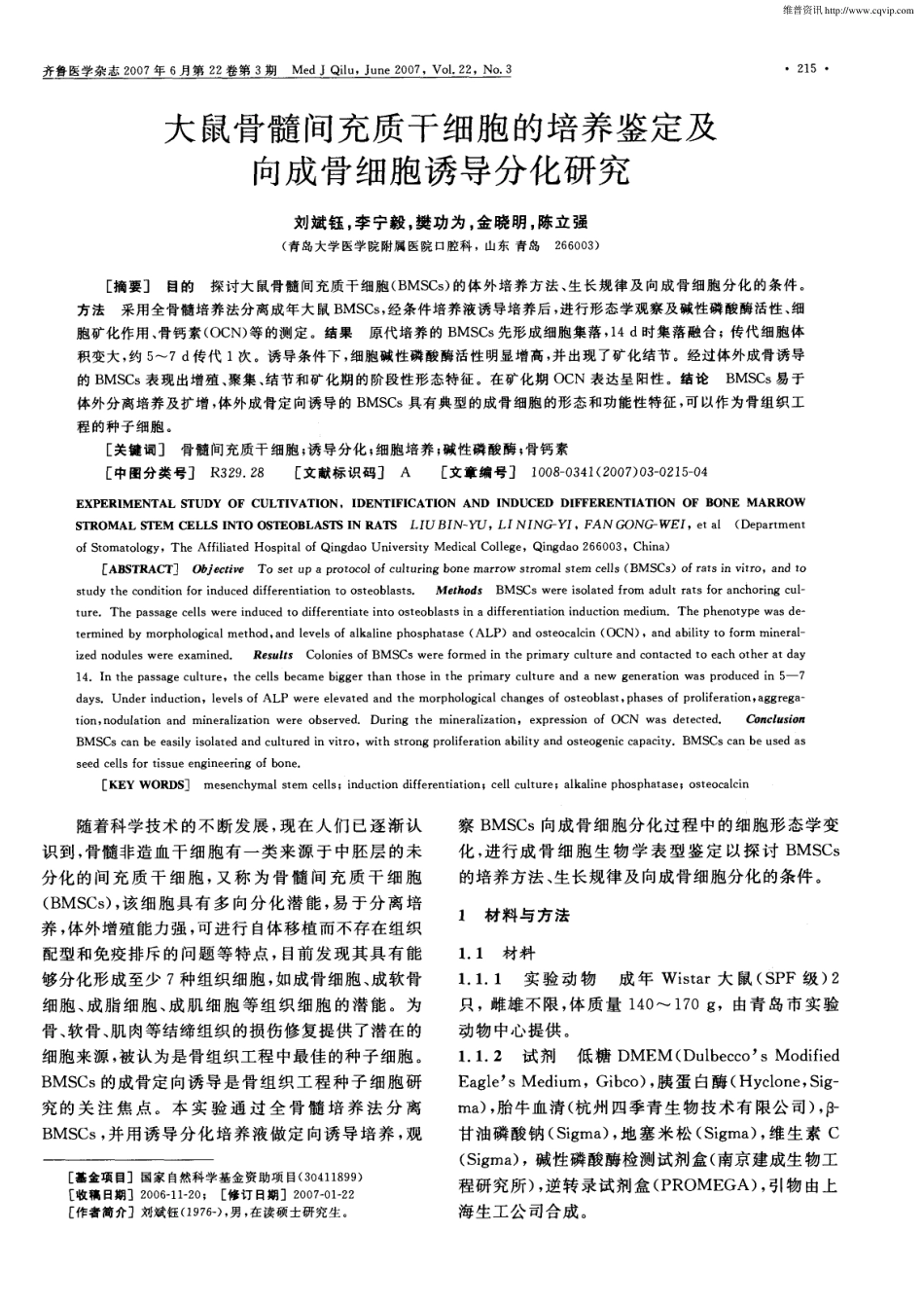 大鼠MSCs的培养鉴定及向成骨细胞诱导分化研究(1).pdf_第1页