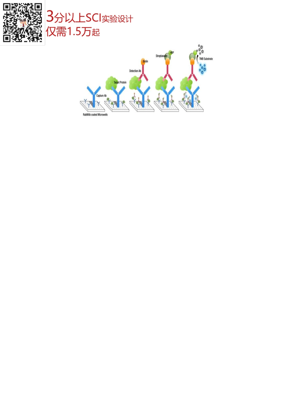 蛋白检测篇7-ELISA(1).pdf_第3页
