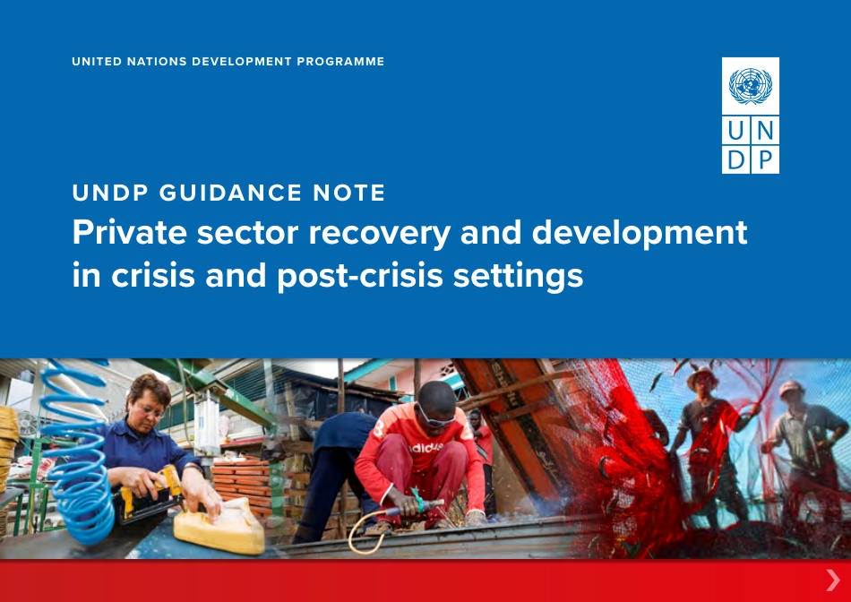 UNDP-危机和危机后环境中的私营部门复苏与发展（英）-2023-74页-WN6.pdf_第1页