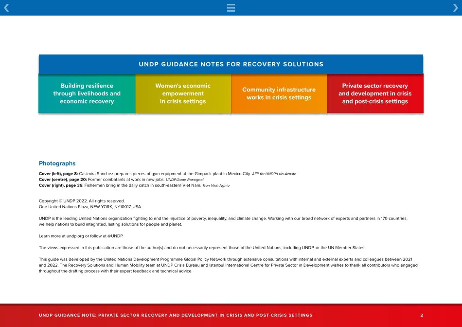 UNDP-危机和危机后环境中的私营部门复苏与发展（英）-2023-74页-WN6.pdf_第3页