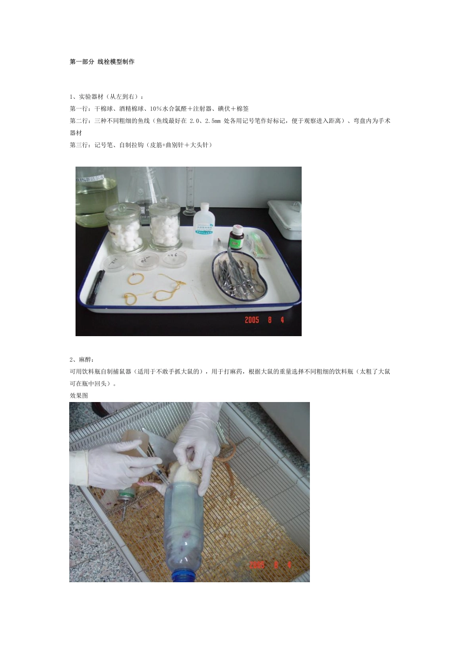 大鼠线栓（MCAO）模型＋灌注取脑＋TTC染色.pdf_第1页