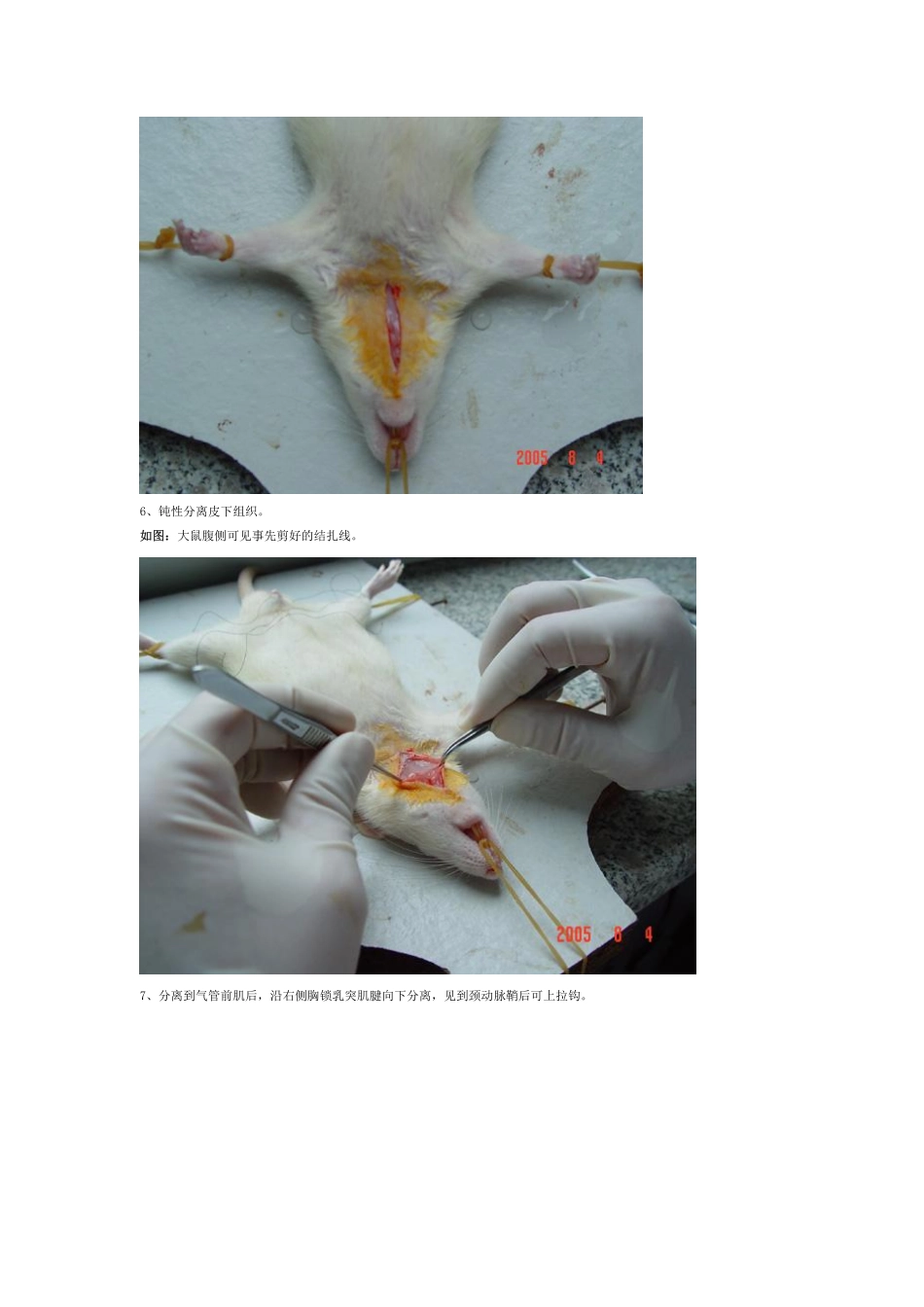 大鼠线栓（MCAO）模型＋灌注取脑＋TTC染色.pdf_第3页