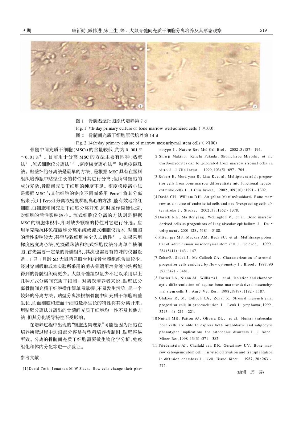 大鼠MSCs分离培养及其形态观察(1).pdf_第2页