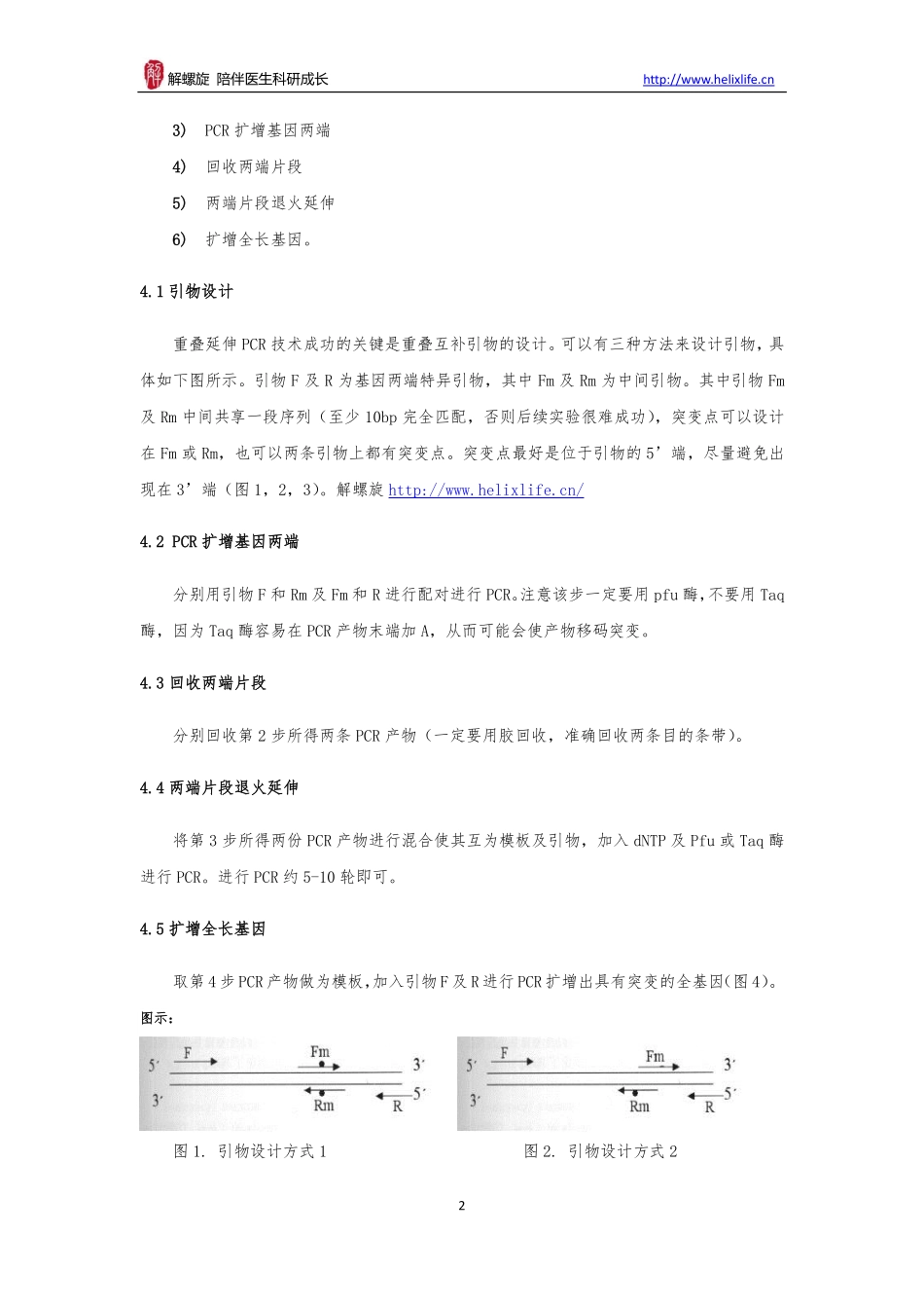 点突变构建——重叠PCR法(1).pdf_第2页