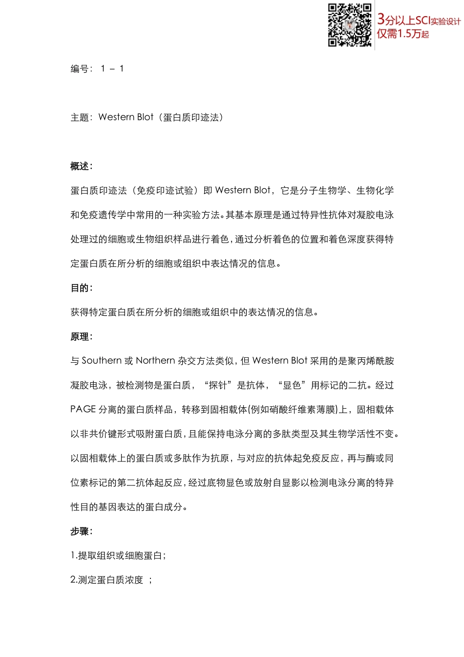 蛋白检测篇1-Western Blot(1).pdf_第1页