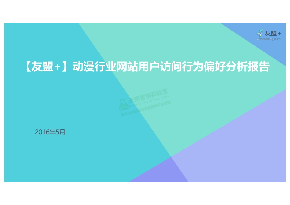 动漫行业网站用户访问行为偏好分析报告.pdf_第1页