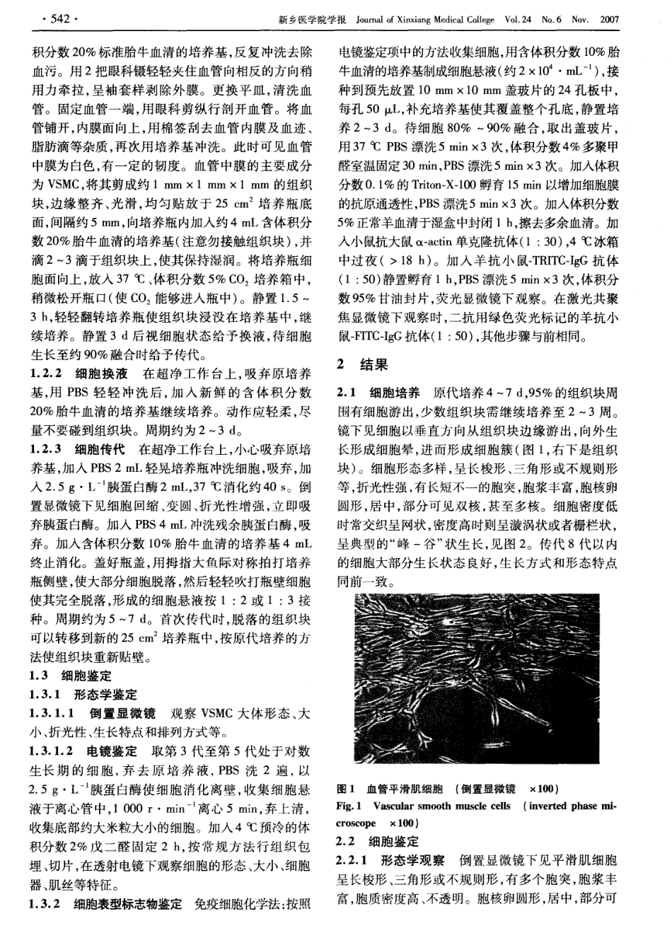 改良组织块贴壁法培养大鼠主动脉平滑肌细胞及鉴定(1).pdf_第2页
