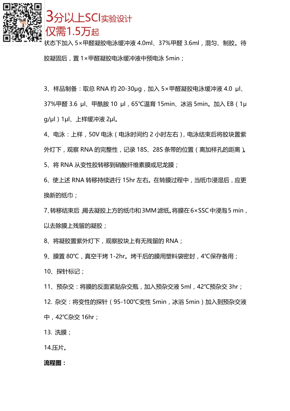 核酸检测篇8-Northern blot(1).pdf_第2页