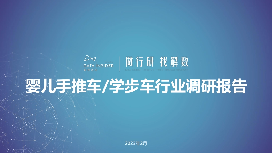 解数咨询：婴儿手推车学步车行业调研报告-119页-WN5.pdf_第1页
