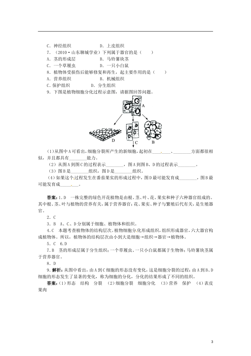 植物体的结构层次 习题3 含答案.doc_第3页