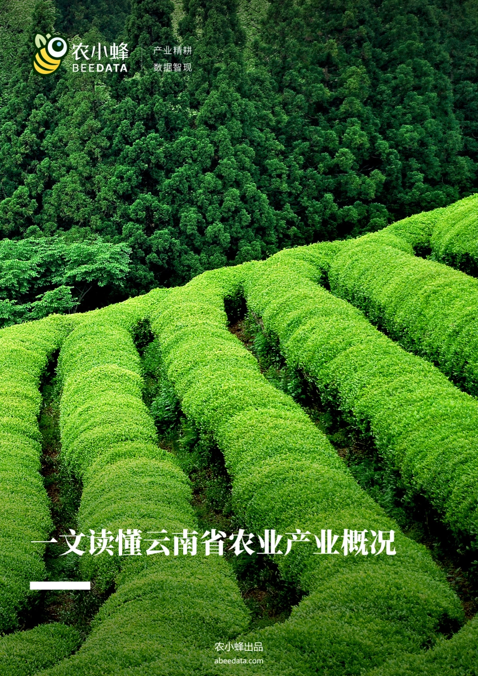 农小蜂-一文读懂云南省农业产业概况-34页-WN5.pdf_第1页