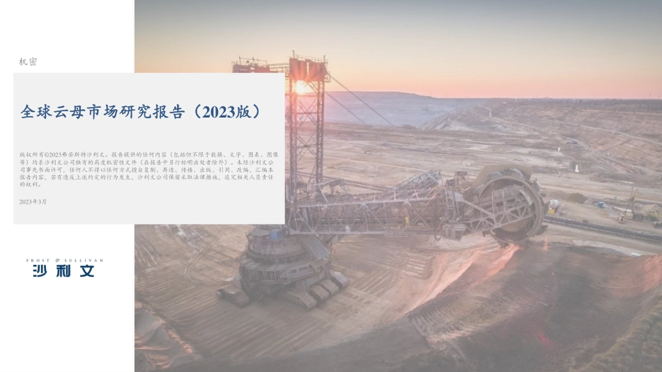 全球云母市场研究报告（2023版）-2023.04-6页-WN5.pdf_第1页