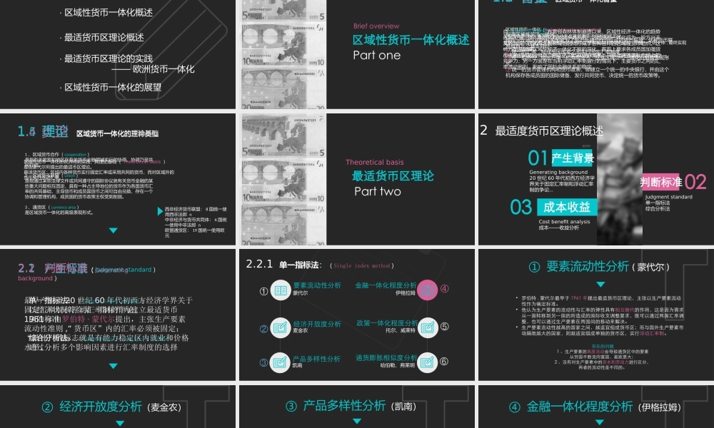 区域货币一体化.pptx