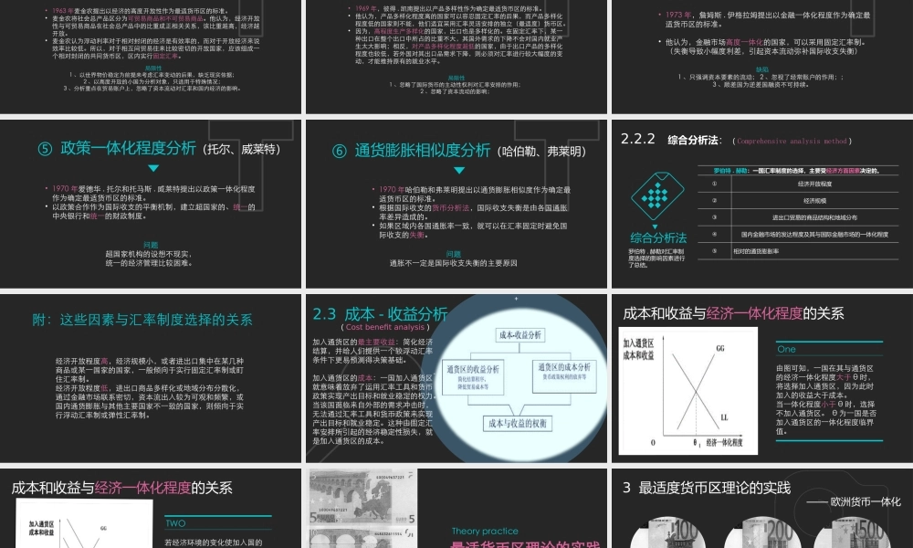 区域货币一体化.pptx