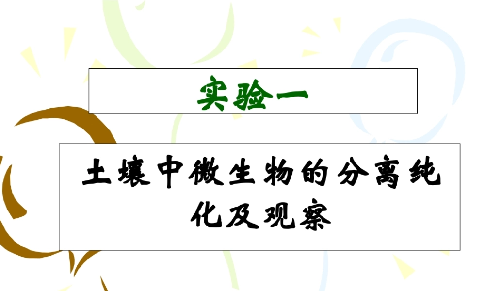 实验一（二）土壤中微生物的分离纯化及观察.ppt