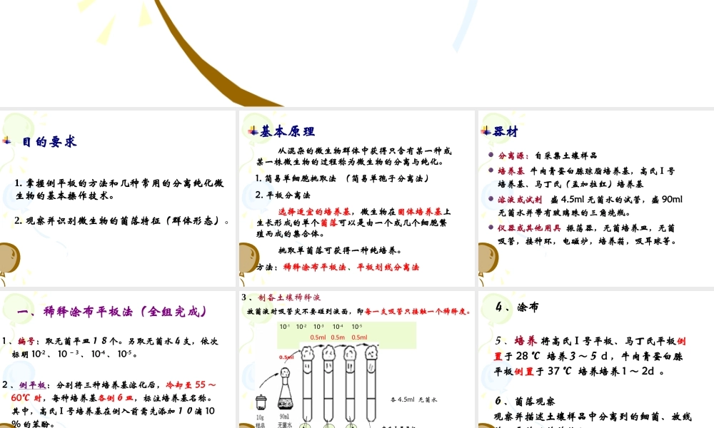实验一（二）土壤中微生物的分离纯化及观察.ppt