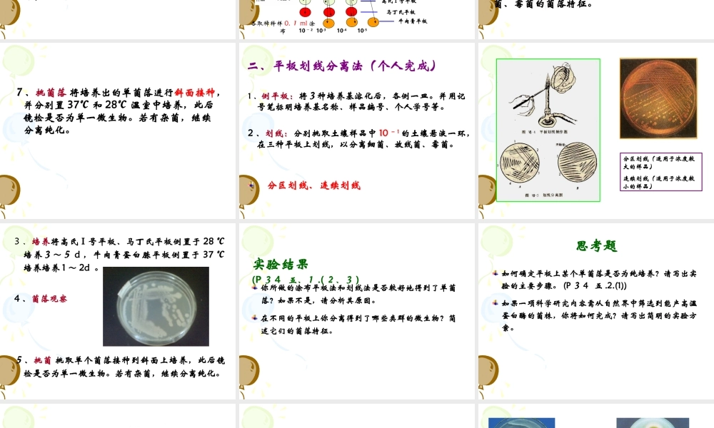 实验一（二）土壤中微生物的分离纯化及观察.ppt