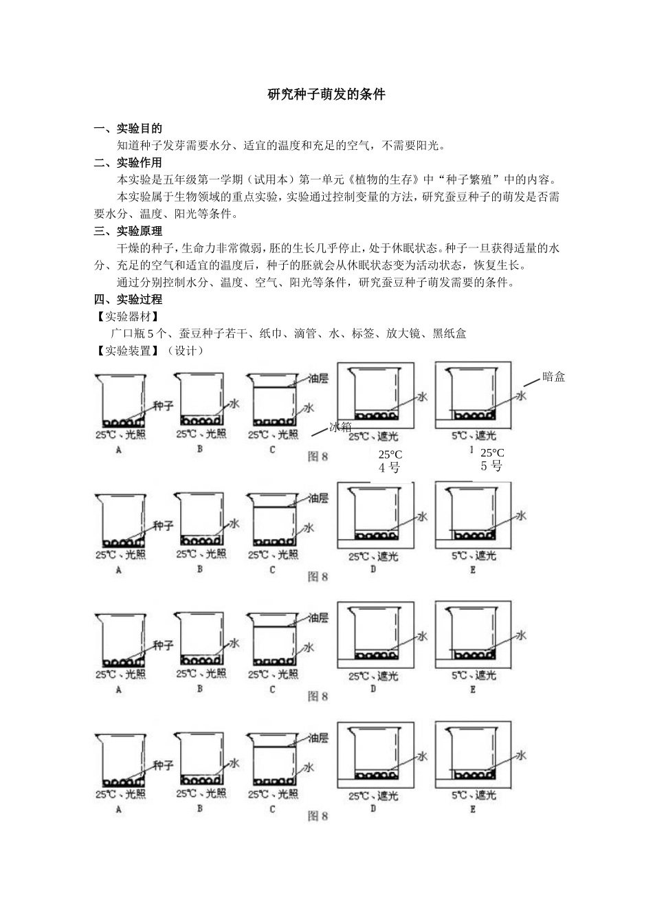 研究种子萌发的条件(1).doc_第1页