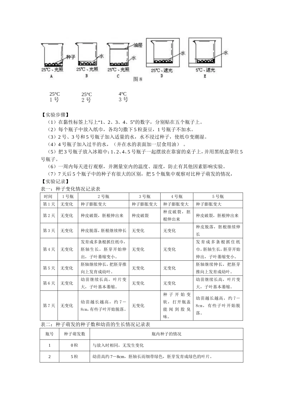 研究种子萌发的条件(1).doc_第2页